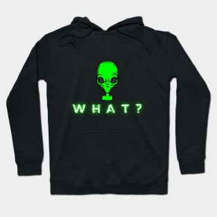 What! Hoodie